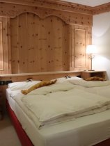 Chalet del Sogno (23)