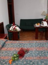 Toplice (4)