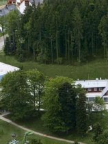 Bellevue (23)