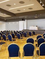 Park Plaza Histria (33)