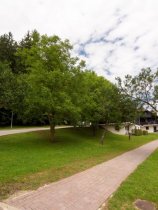 Apartment Village Lipa (22)