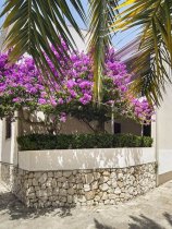 Beach Apartments Lavica (2)