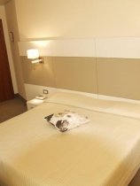 Hotel Anthony (5)