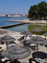 Flores (29)