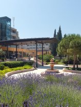 Island Hotel Istra (5)