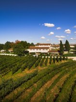 Meneghetti Wine Hotel Relais & Chateaux (42)