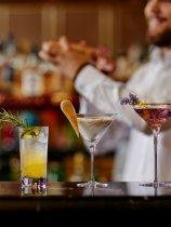 Regent Porto Montenegro (19)