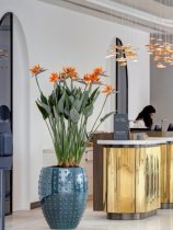 Rixos Premium Dubrovnik (4)